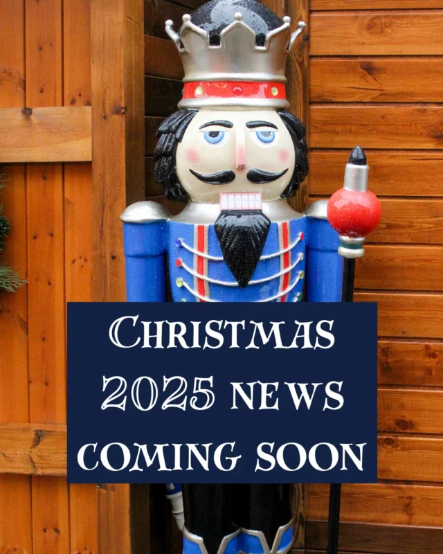 👀

#KingstonUponThames #KingstonChristmasMarket #Market #Countdown #Surrey #London #Christmas